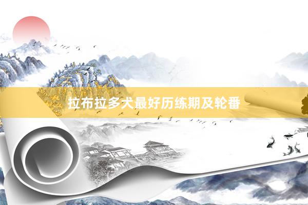拉布拉多犬最好历练期及轮番