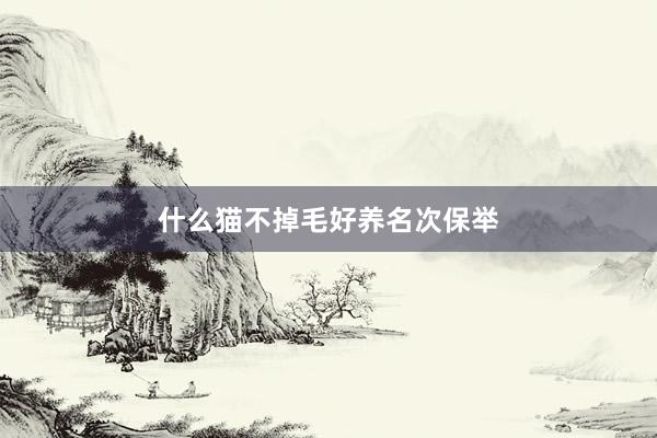 什么猫不掉毛好养名次保举